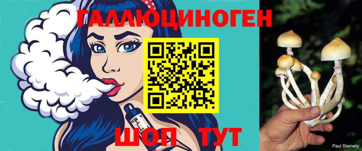 Галлюциногенные грибы Cubensis  Вход с VPN  Бирск 